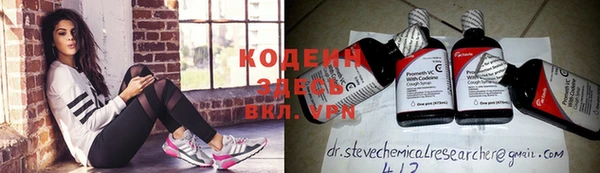 прущие грибы Ельня