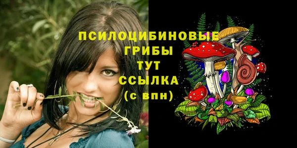 синтетический гашиш Нефтекумск