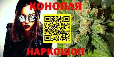 jwh Бийск