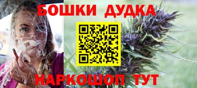 крисы Бийск