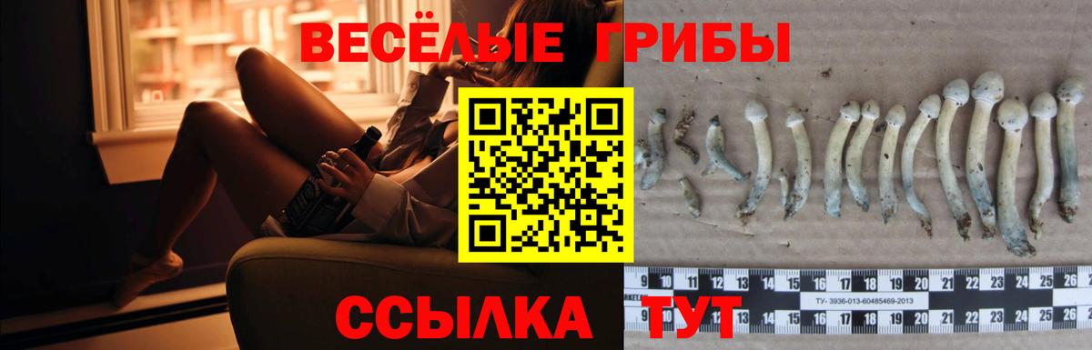Ульяновск  Галлюциногенные грибы Cubensis  Вход с VPN 